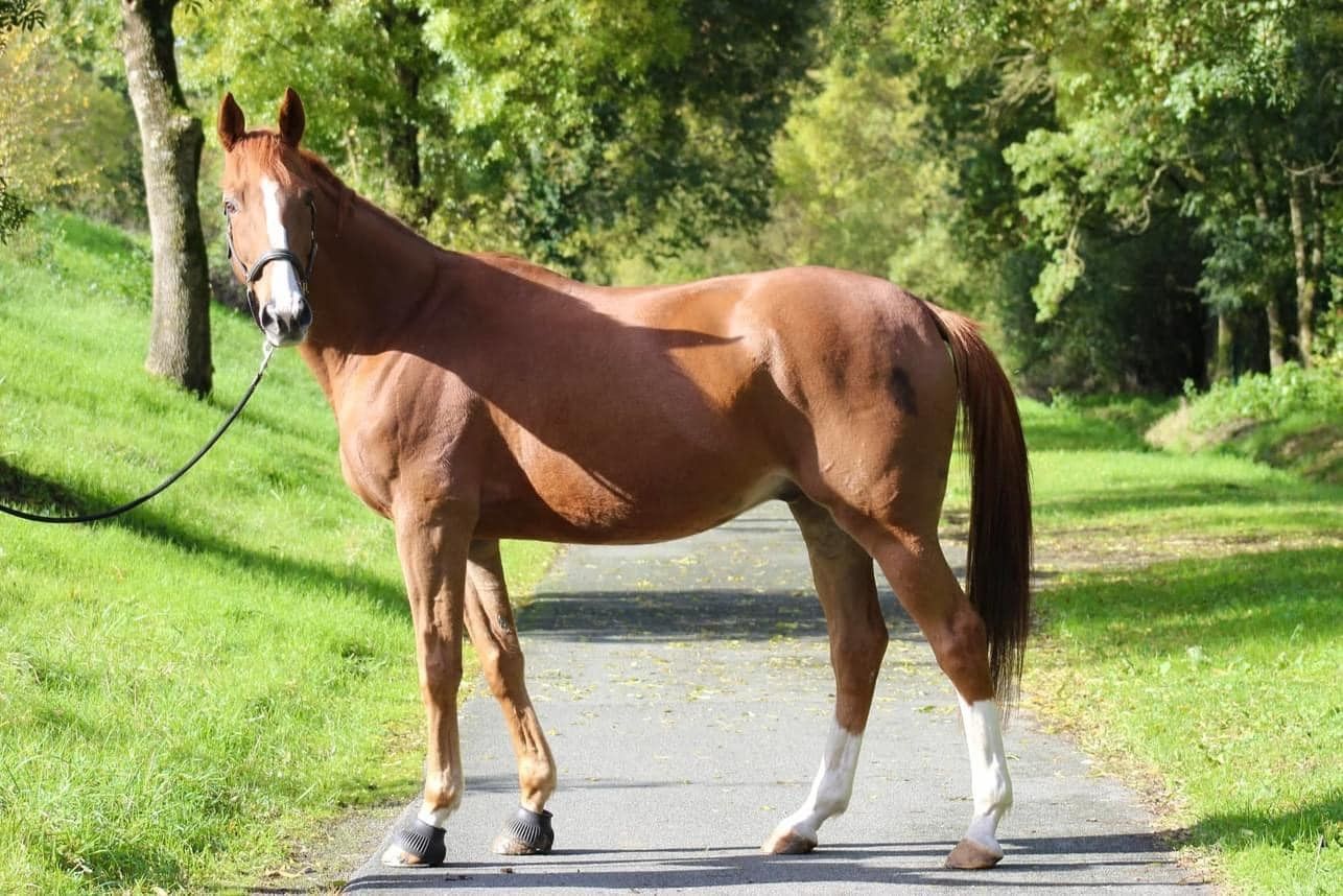 blockValue.789f963d-e200-4b7b-942e-2e73f35333af.imageCol.0.img_alt