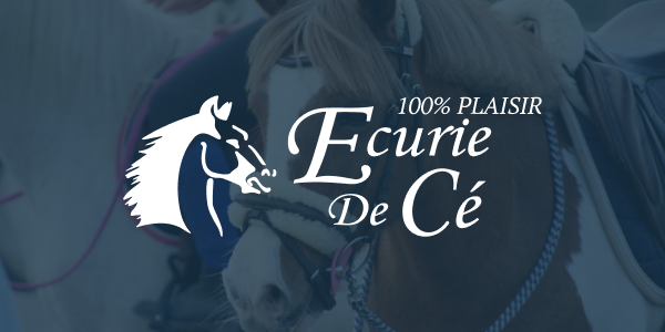 Image de passage galop poney d'argent à galop 3 suivant votre niveau