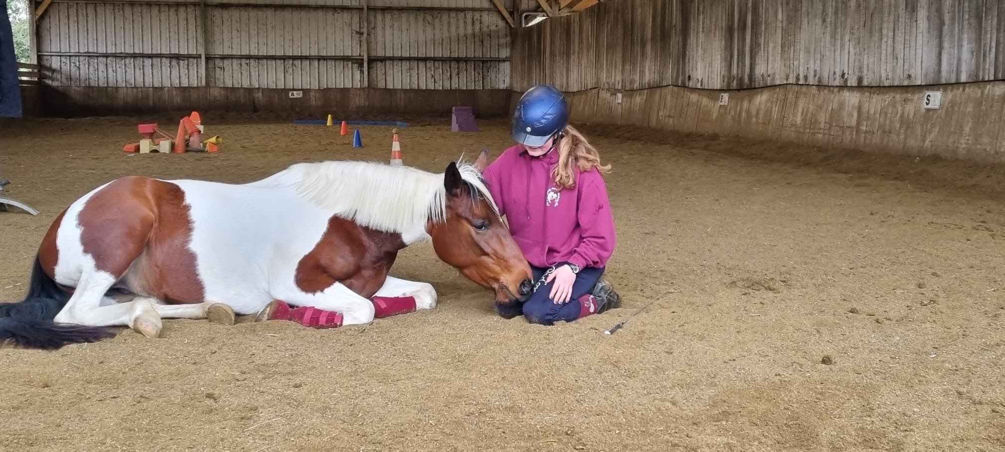 Image de STAGE INITIATION ET BASES " D'ÉQUITATION ÉTHOLOGIQUE" ET PRÉPARATION DU TRAVAIL À PIED DES GALOP
