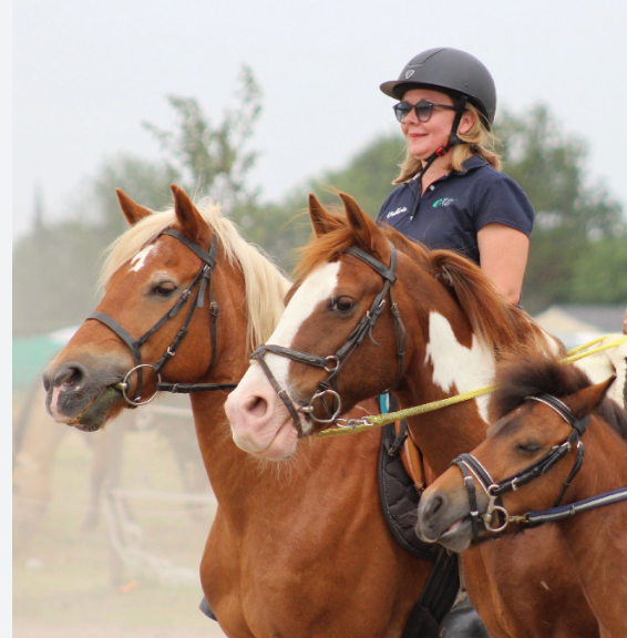 Image de SÉANCE DÉCOUVERTE DE L'ÉQUITATION POUR LES DÉBUTANTS ADULTES