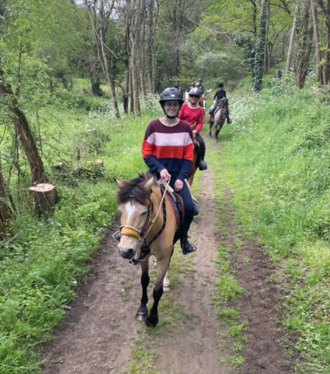 Image de DÉCOUVERTE OU REPRISE DE L'ÉQUITATION POUR PERSONNES JAMAIS MONTÉE OU PAS MONTÉE DEPUIS LONGTEMPS NIVEAU GALOP 1 ET 2