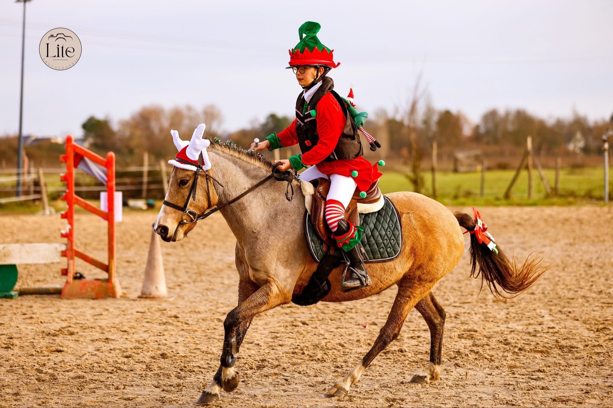 Image de Journée Noël  au centre équestre à partir de 6 ans, du débutant au galop 3