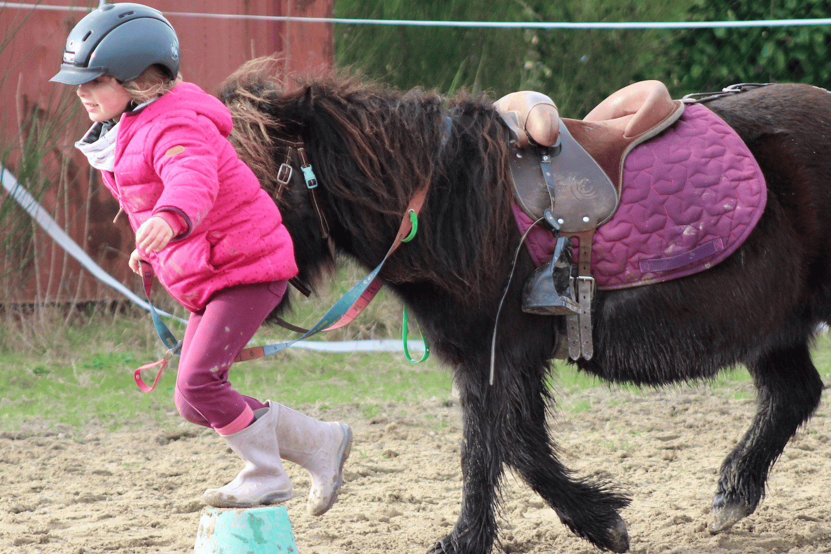 Image de Découverte du  poney pour enfants de 3 à 6 ans