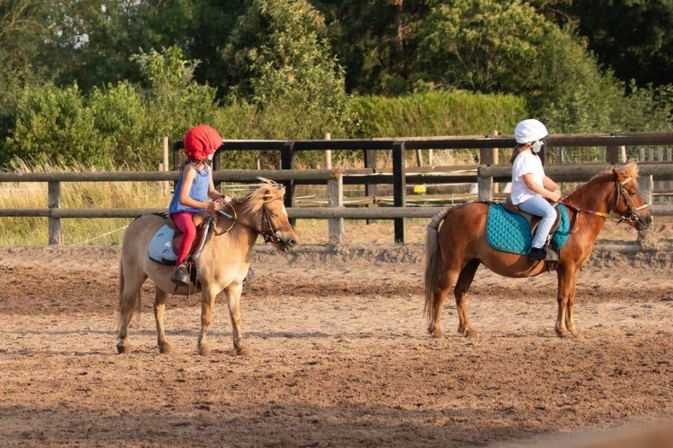 Image de STAGE BABY PONEY pour enfants de 3 à 6 ans  (complet 17, 20, 22,) des places sont disponibles pour : 27, 28, 30 Avril