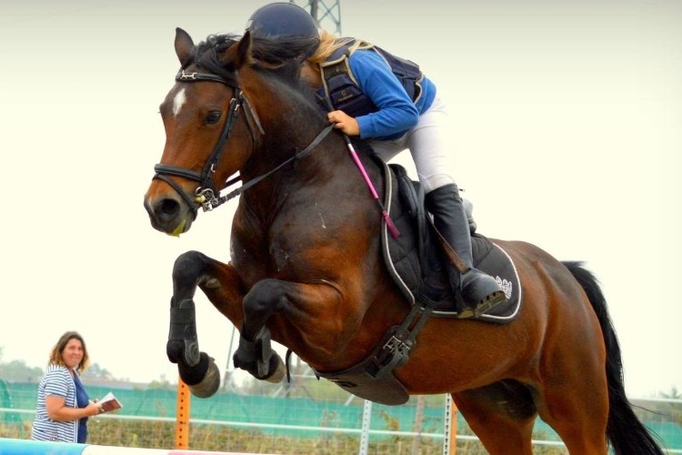 Image de STAGE CSO avec Marie