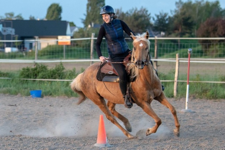 Image de STAGE WESTERN initiation pour cavaliers à l'aise aux 3 allures et perfectionnement