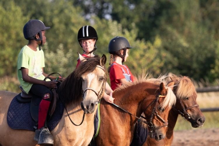 Image de Stage enfants débutants à partir de 8 ans