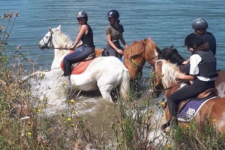 Image de Randonnée 1 journée pour cavaliers sachant trotter