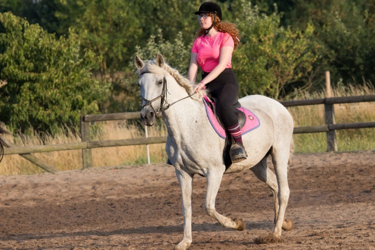 Image de Stage Ados/Adultes