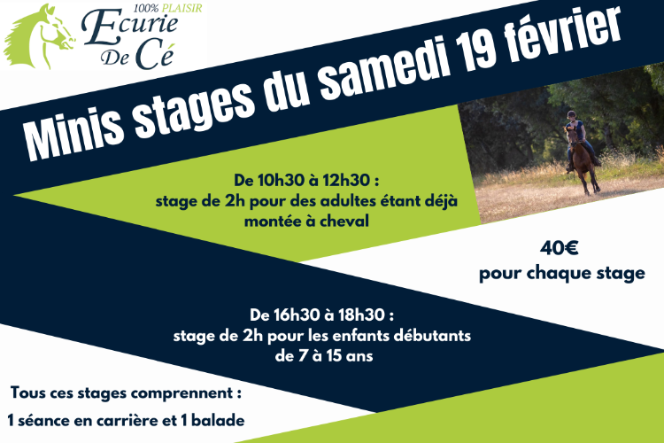 Image de Minis stages du Samedi 19 février