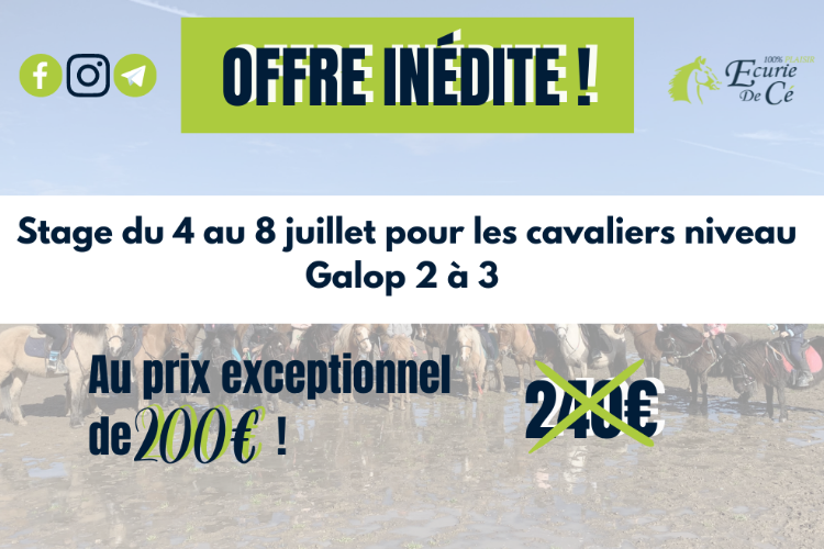 Image de Stage du 4 au 8 juillet  pour les niveau 2 à 3 : promotion exceptionnel !