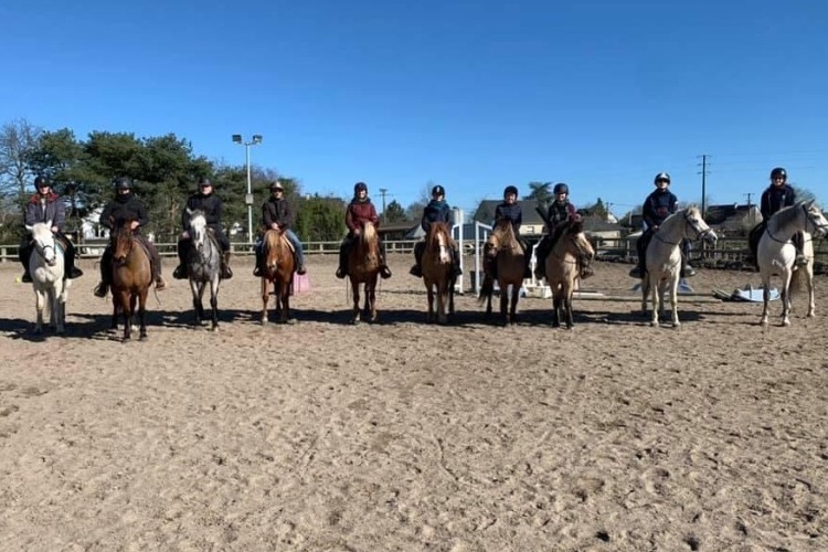 Image de Stage 2h pour cavaliers adultes qui trottent et pourront galopper un peu  Prix : 40.00€ 