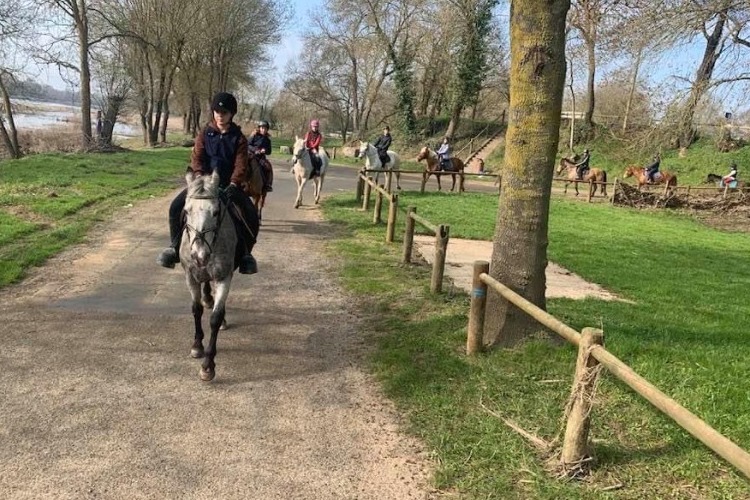 Image de Activité : une promenade de 2h pour des cavaliers à l'aise aux trois allures