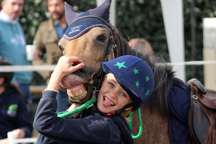 Image de Stage débutants pour cavaliers de plus de 6 ans