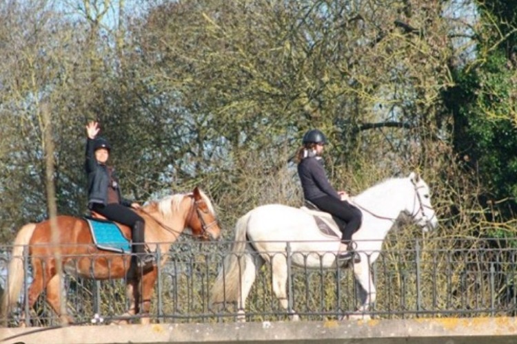 Image de stage débutant adulte